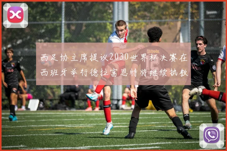 西足协主席提议2030世界杯决赛在西班牙举行德拉富恩特将继续执教国家队