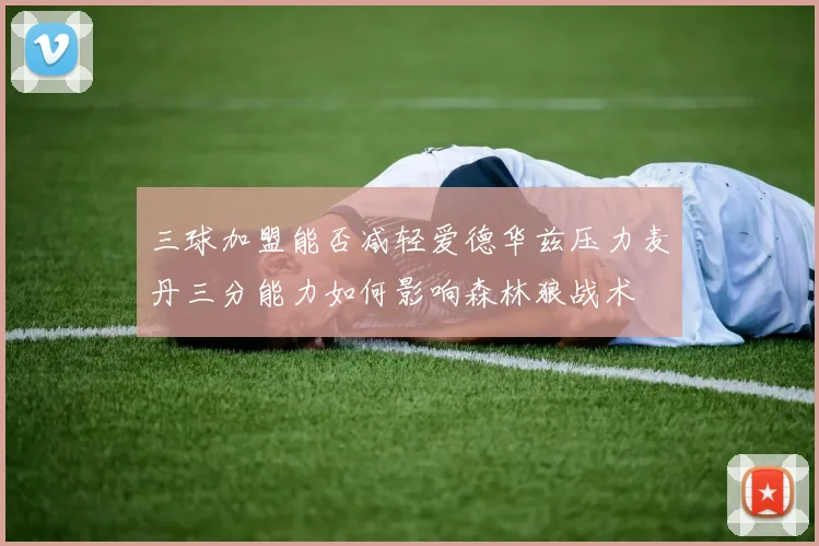 三球加盟能否减轻爱德华兹压力麦丹三分能力如何影响森林狼战术