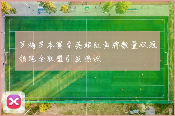 罗梅罗本赛季英超红黄牌数量双冠领跑全联盟引发热议