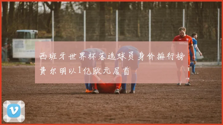 西班牙世界杯落选球员身价排行榜费尔明以1亿欧元居首